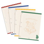 Refil Fichário Colegial Harry Potter DAC