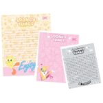 Refil Porta Fichas Looney Tunes DAC