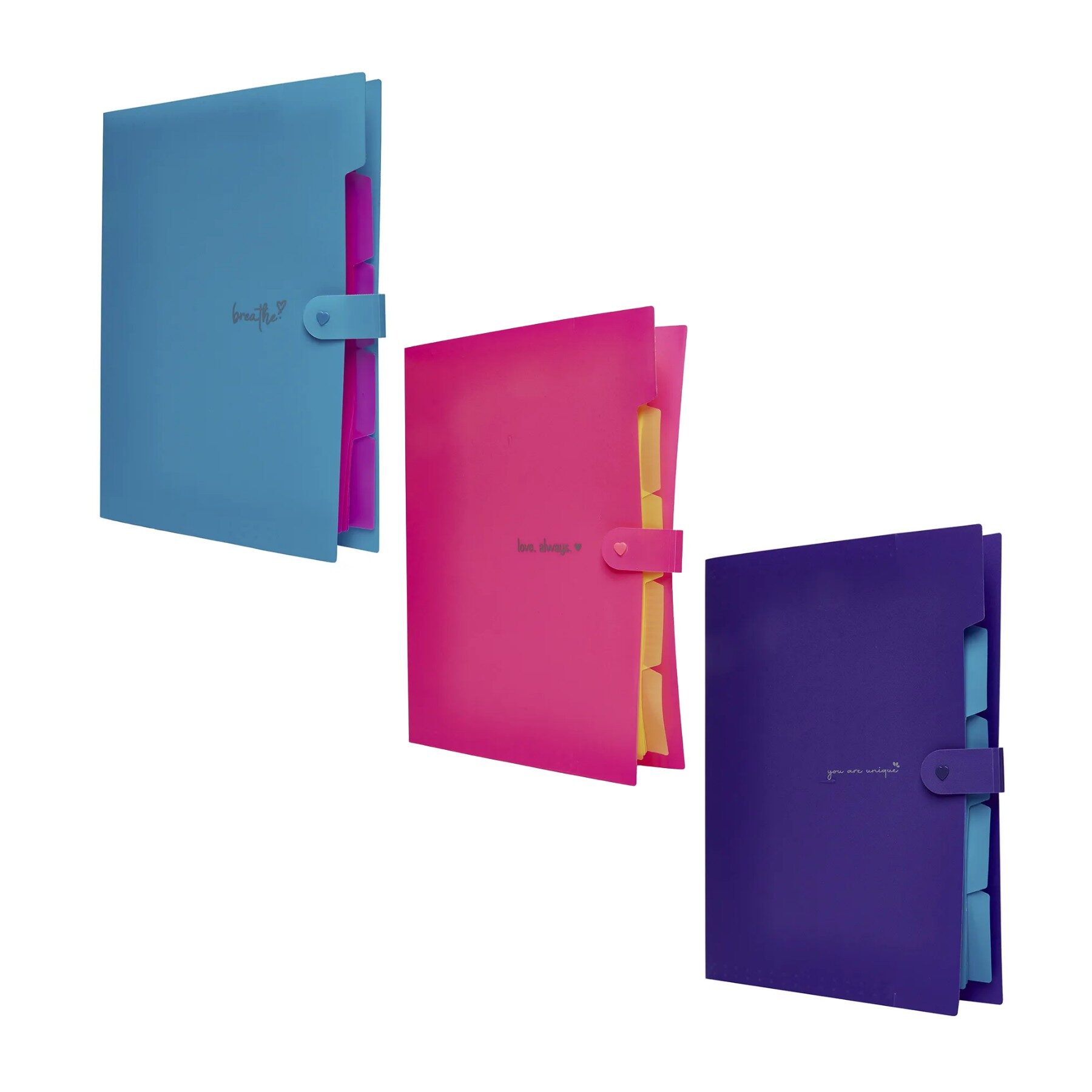 neon-1-1.jpg Pasta Sanfonada A4 Com Botão 5 Divisórias Neon - Polibras - Imagem 1